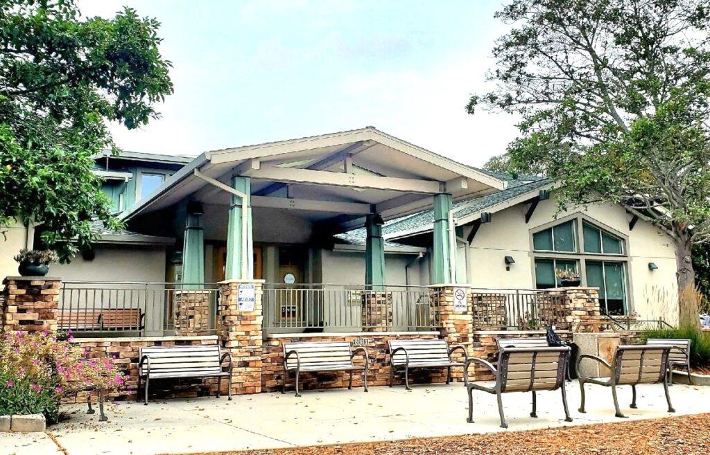 live oak branch library